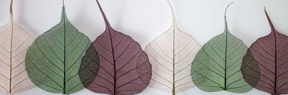 Similar wall art painting: 36127