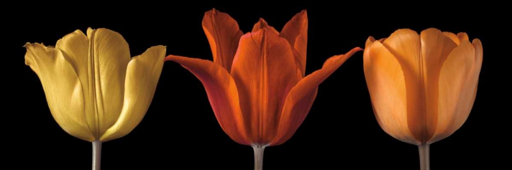 Similar wall art painting: 36153