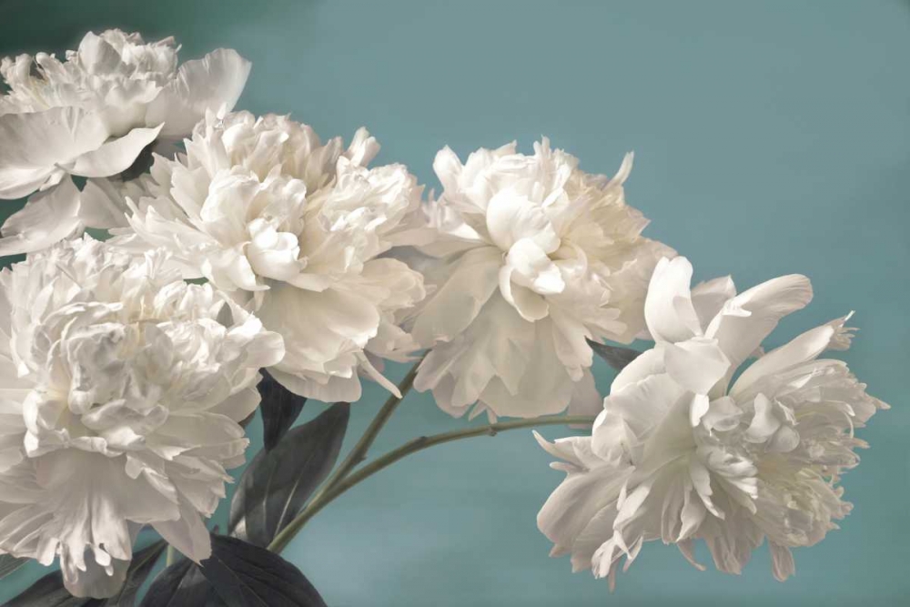 Similar wall art painting: 36335