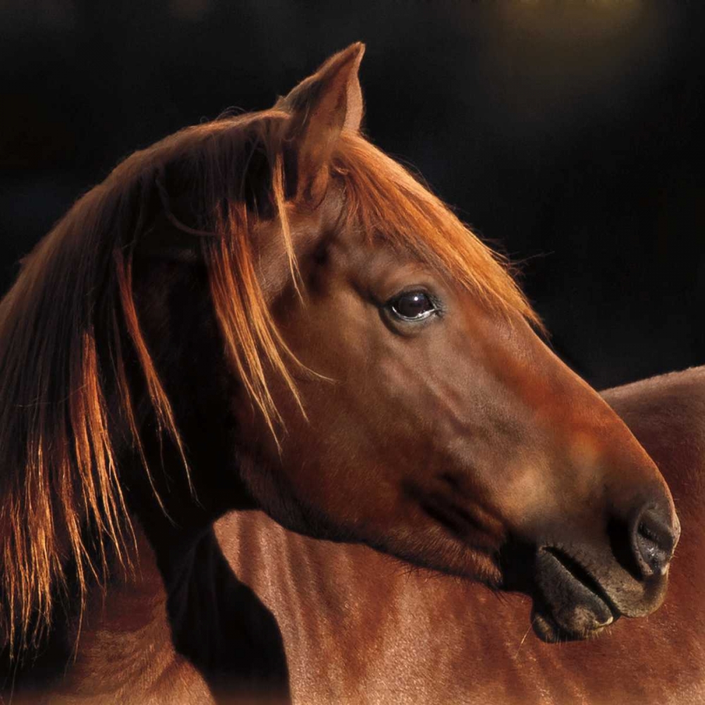 Similar wall art painting: 36349