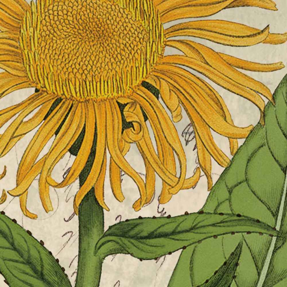 Similar wall art painting: 36383