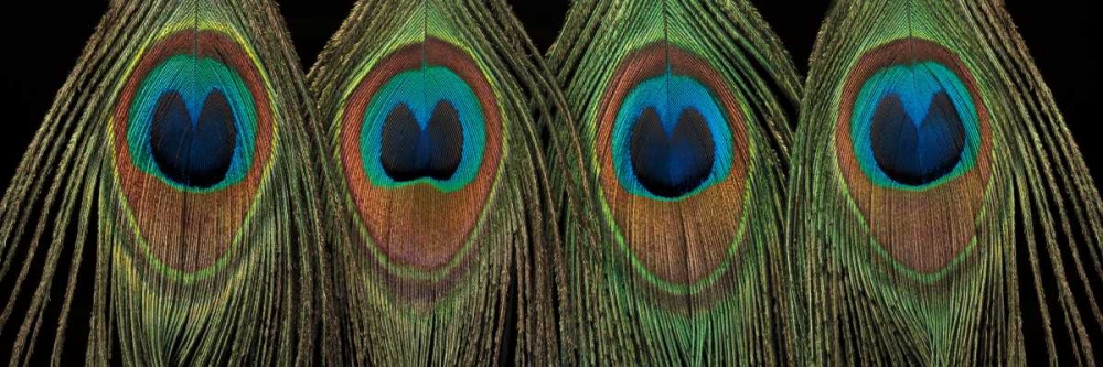 Similar wall art painting: 36389