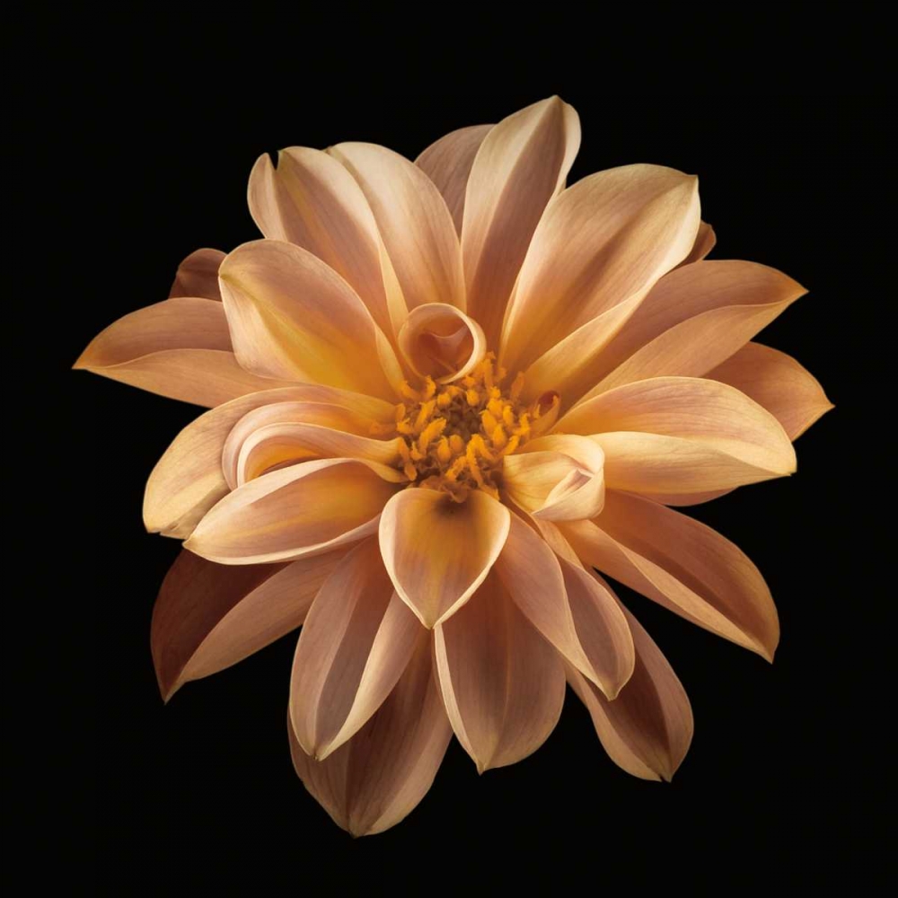 Similar wall art painting: 36445