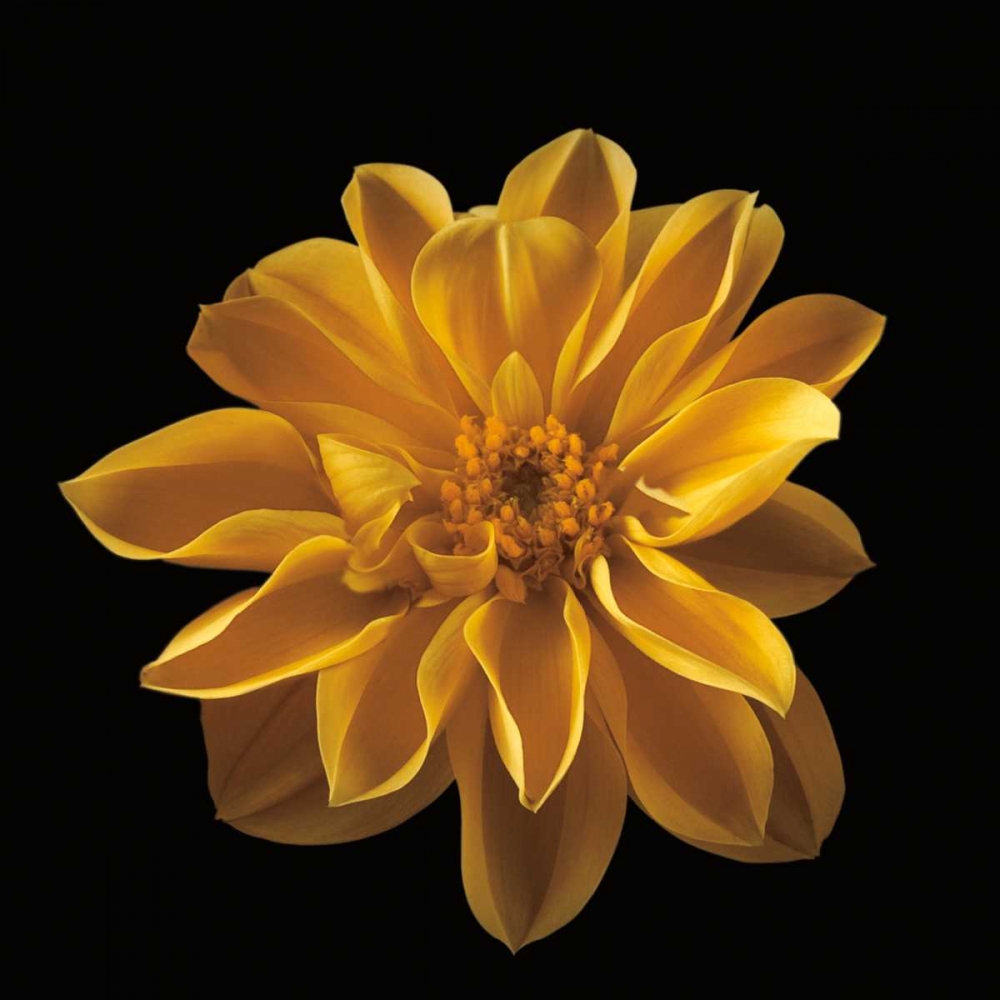 Similar wall art painting: 36446