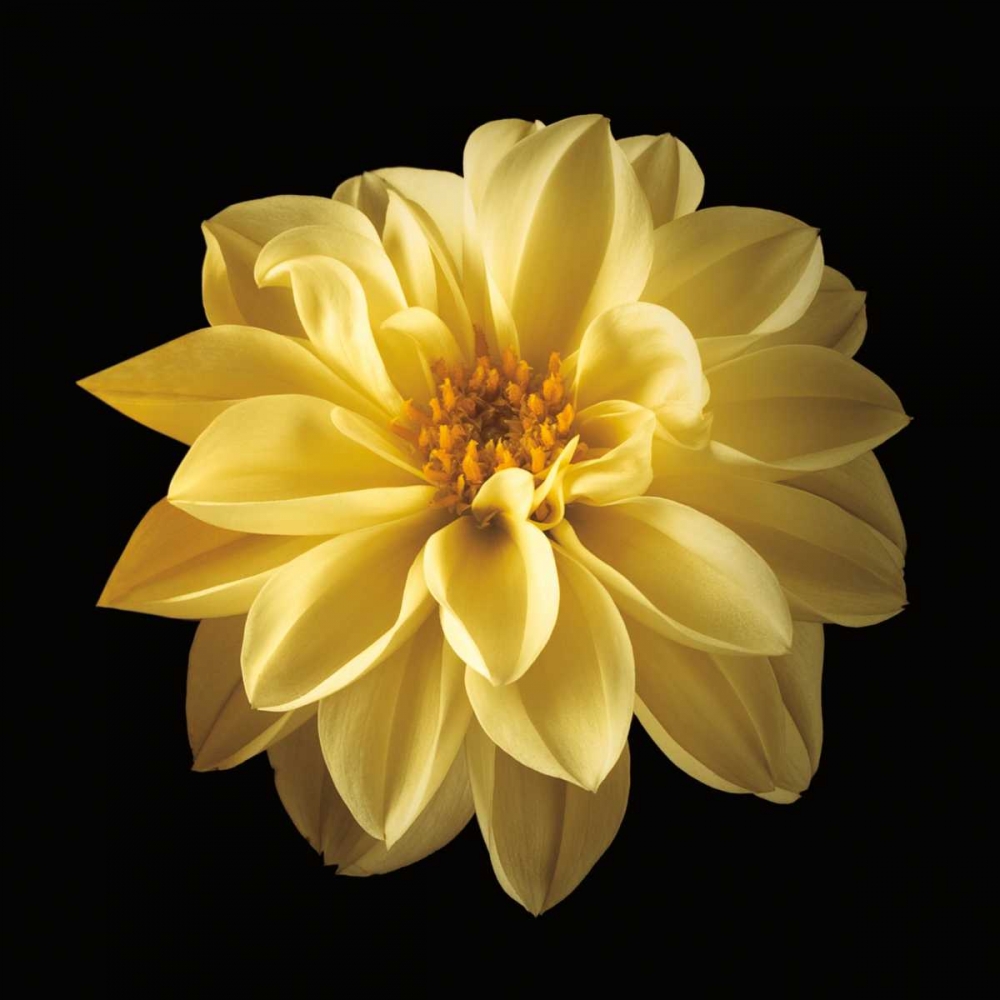 Similar wall art painting: 36447