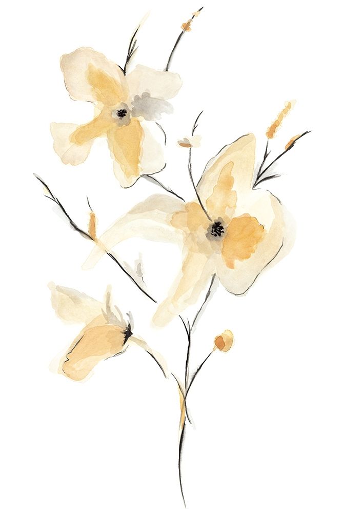 Wall Art Painting id:204128, Name: Morning Glory I, Artist: Golden, Corrie