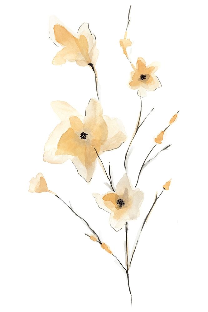 Wall Art Painting id:204129, Name: Morning Glory II, Artist: Golden, Corrie