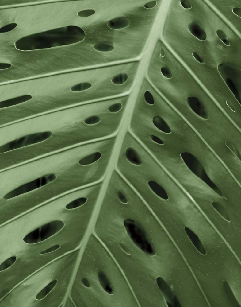 Similar wall art painting: 11627