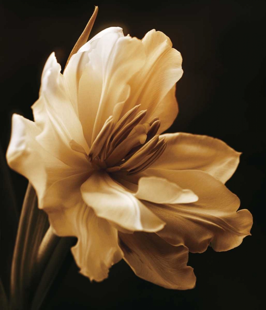 Similar wall art painting: 11634