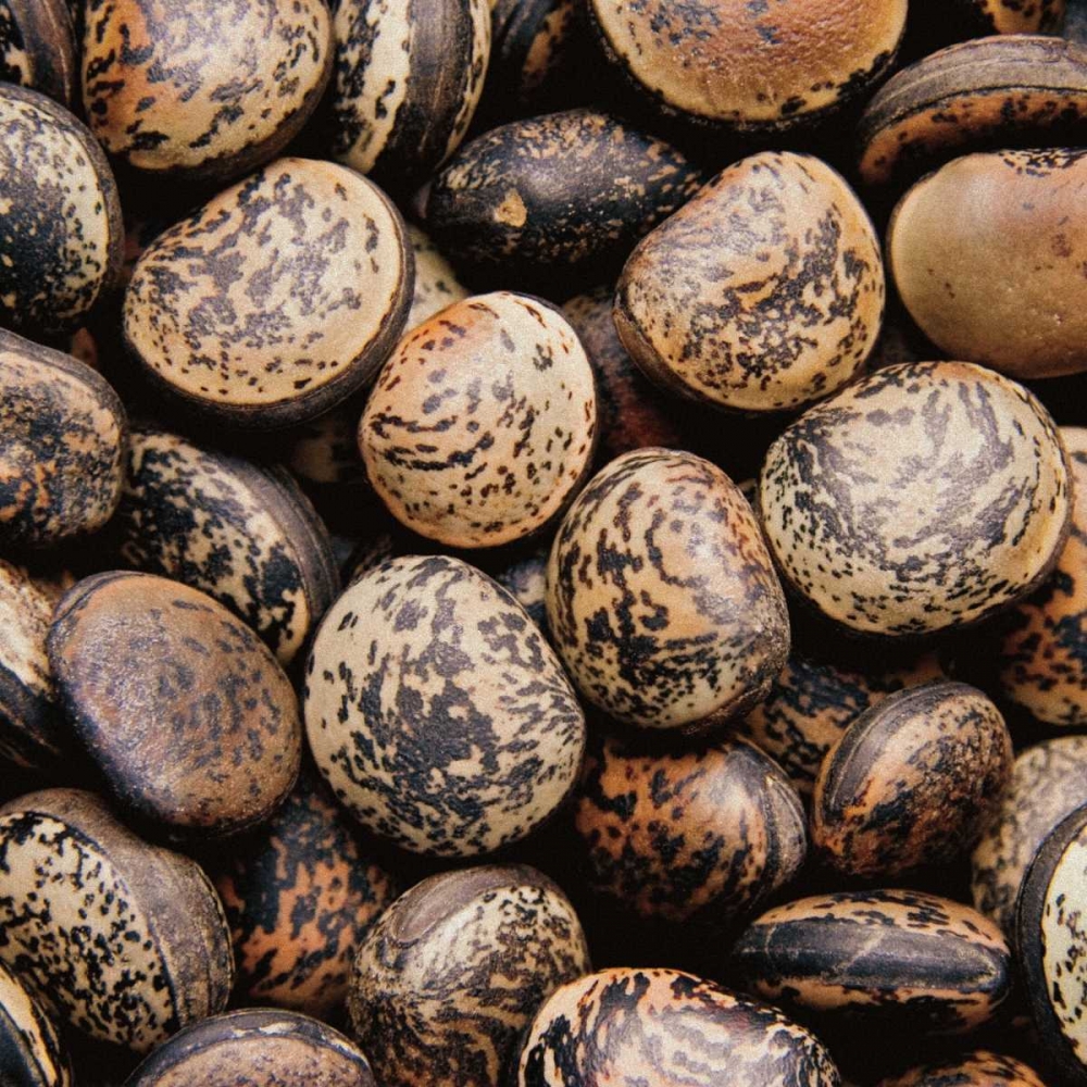 Similar wall art painting: 11641