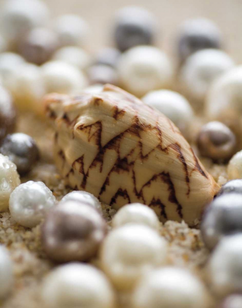 Similar wall art painting: 12484