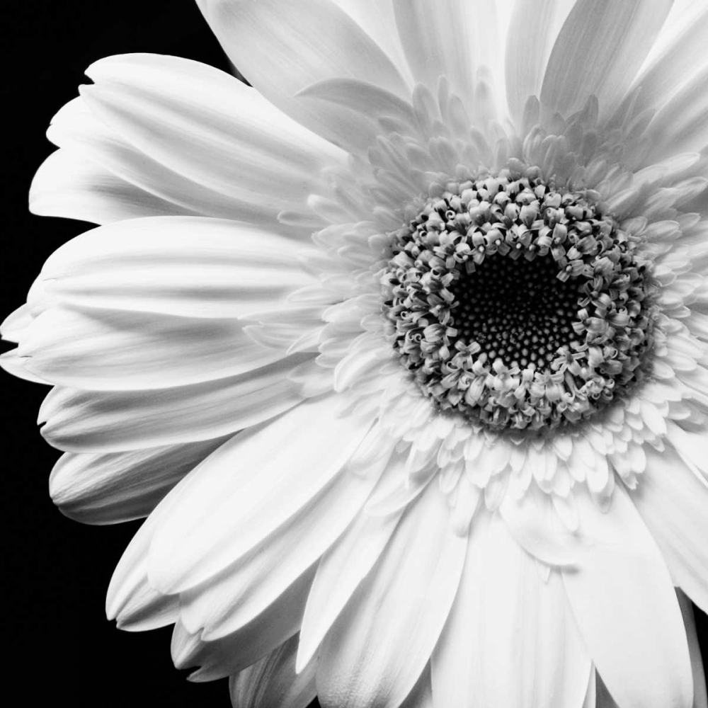 Similar wall art painting: 12873