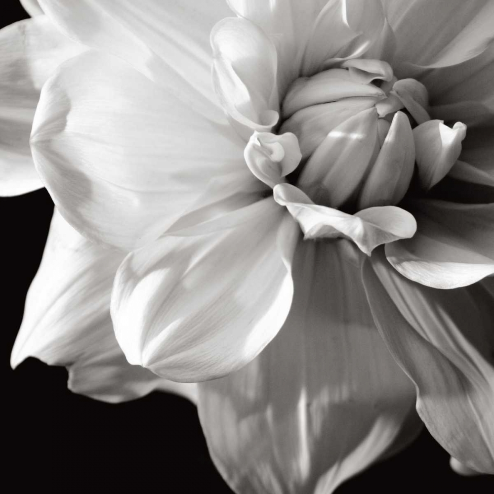 Similar wall art painting: 11686