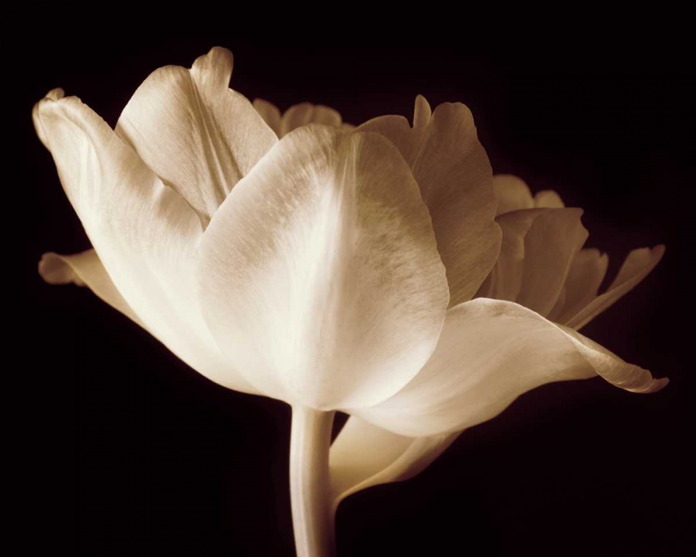 Similar wall art painting: 12760