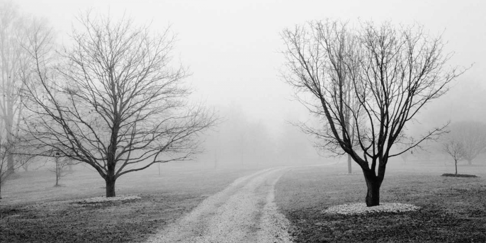 Similar wall art painting: 12497