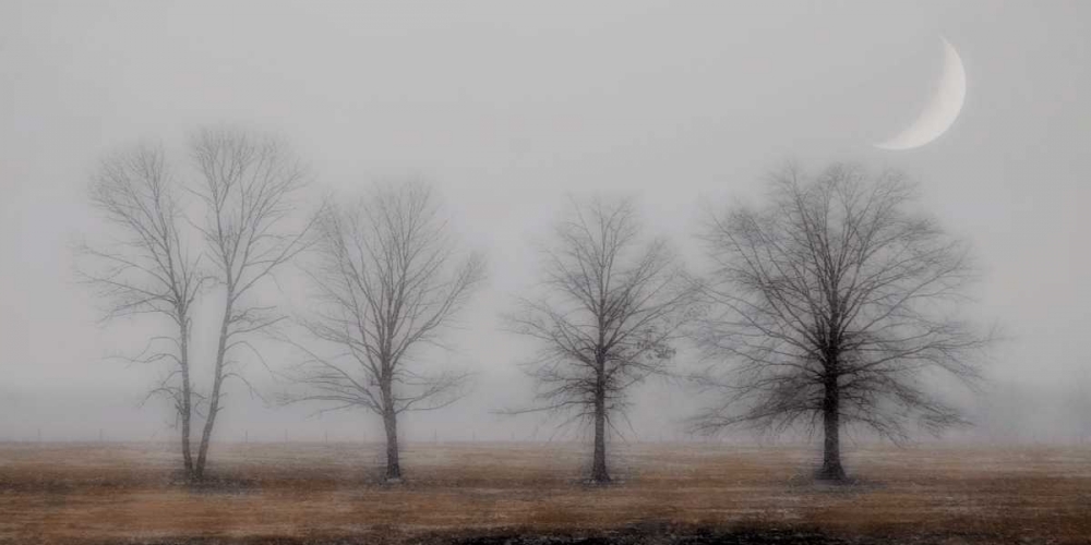 Similar wall art painting: 12286