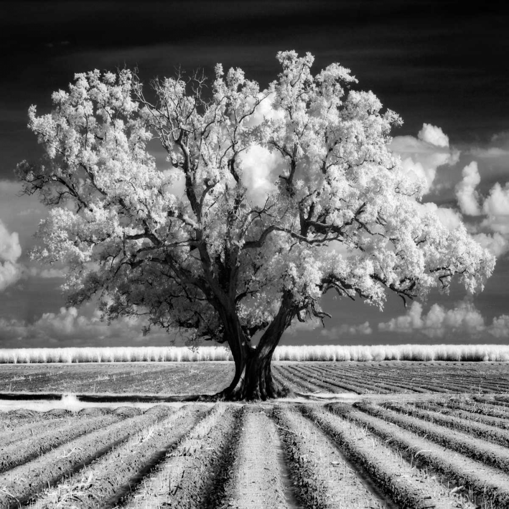 Similar wall art painting: 36741