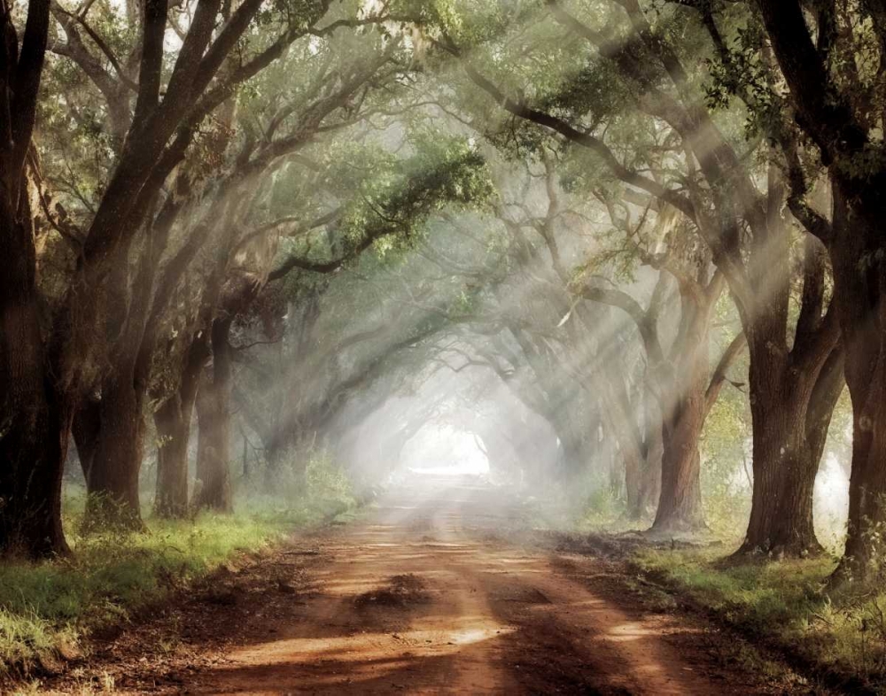 Similar wall art painting: 36744