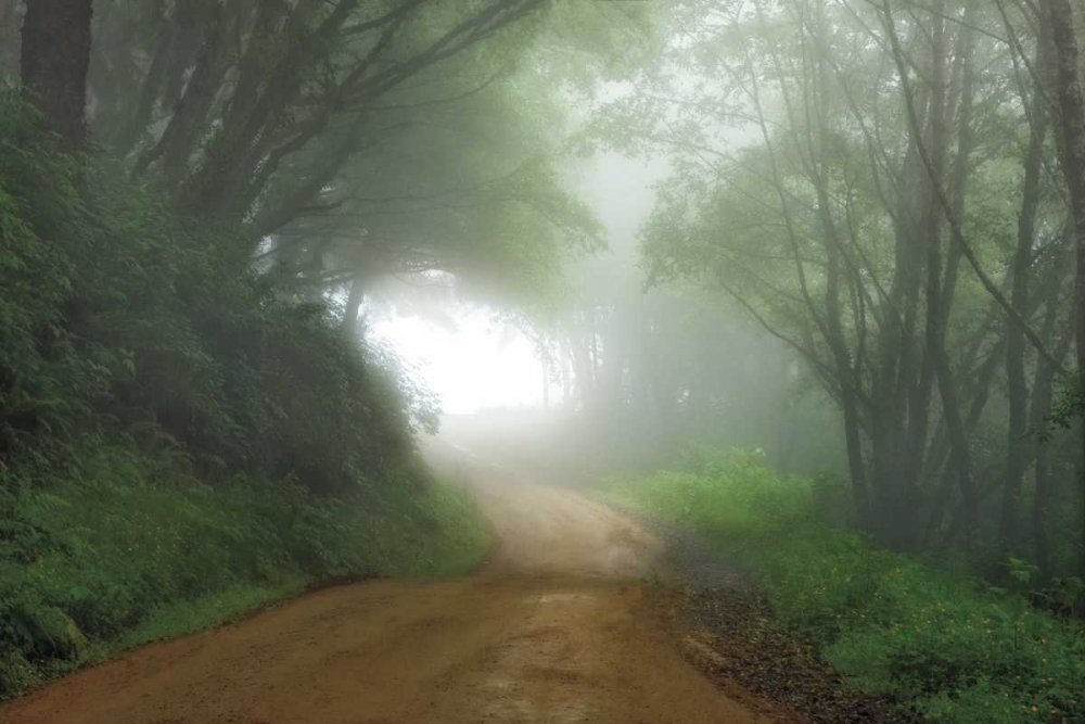 Similar wall art painting: 36749