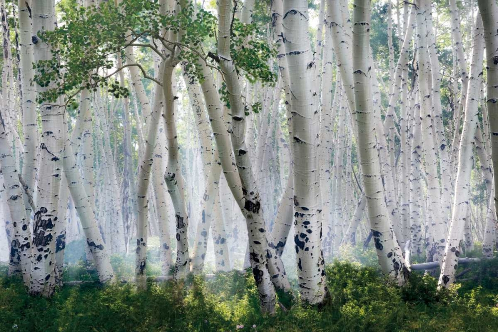 Similar wall art painting: 59941