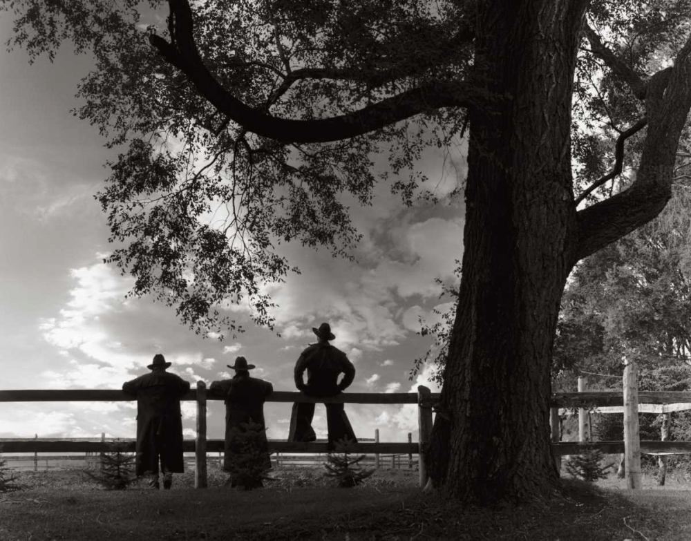 Similar wall art painting: 11362