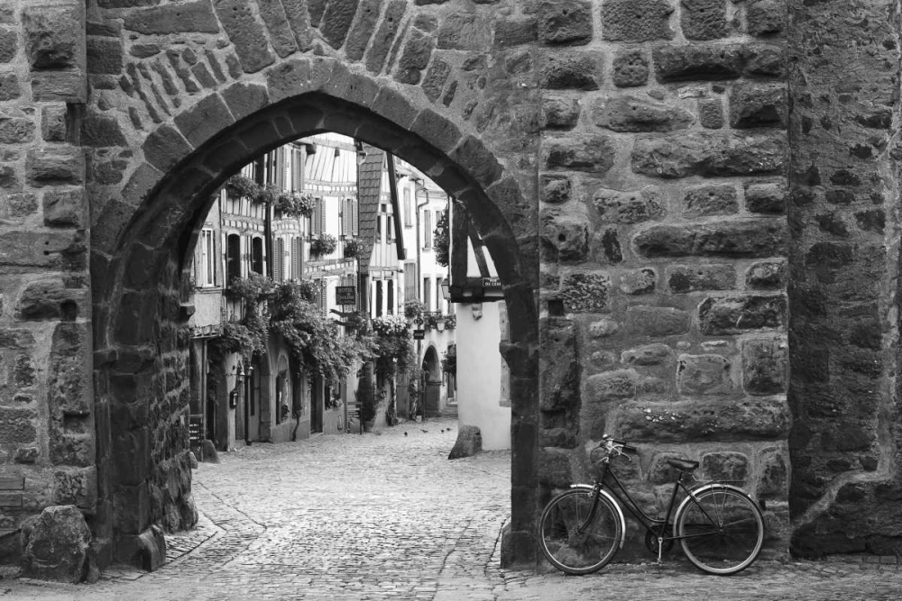 Wall Art Painting id:36834, Name: Bicycle of Riquewihr, Artist: Nagler, Monte