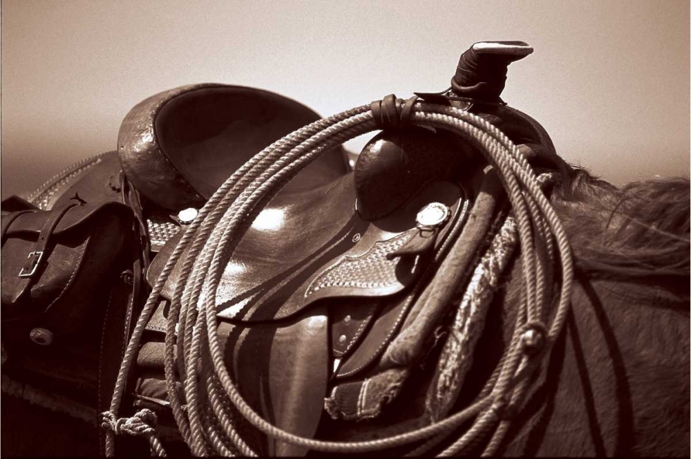 Similar wall art painting: 11888