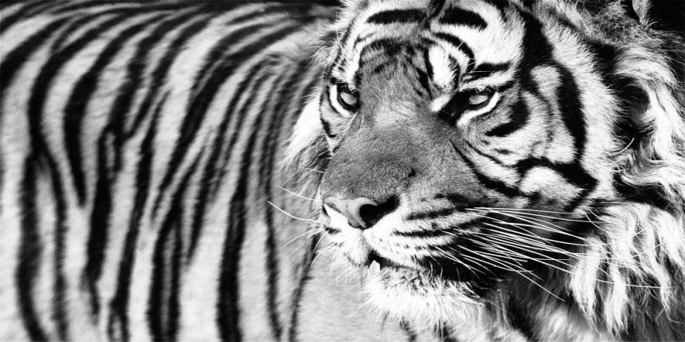 Similar wall art painting: 36843