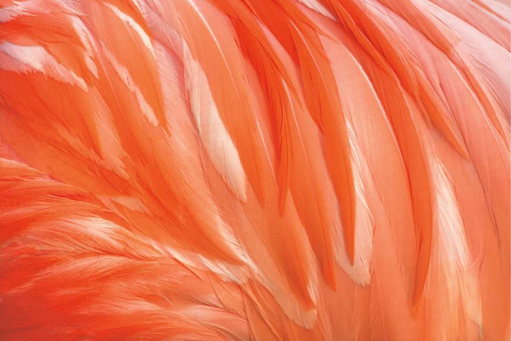 Similar wall art painting: 36846