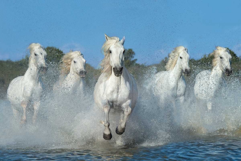 Similar wall art painting: 59965