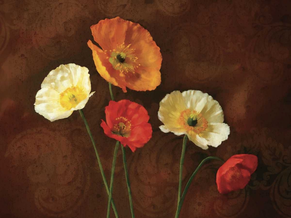 Wall Art Painting id:11894, Name: Poppy Perfection I, Artist: Pahl, Janel
