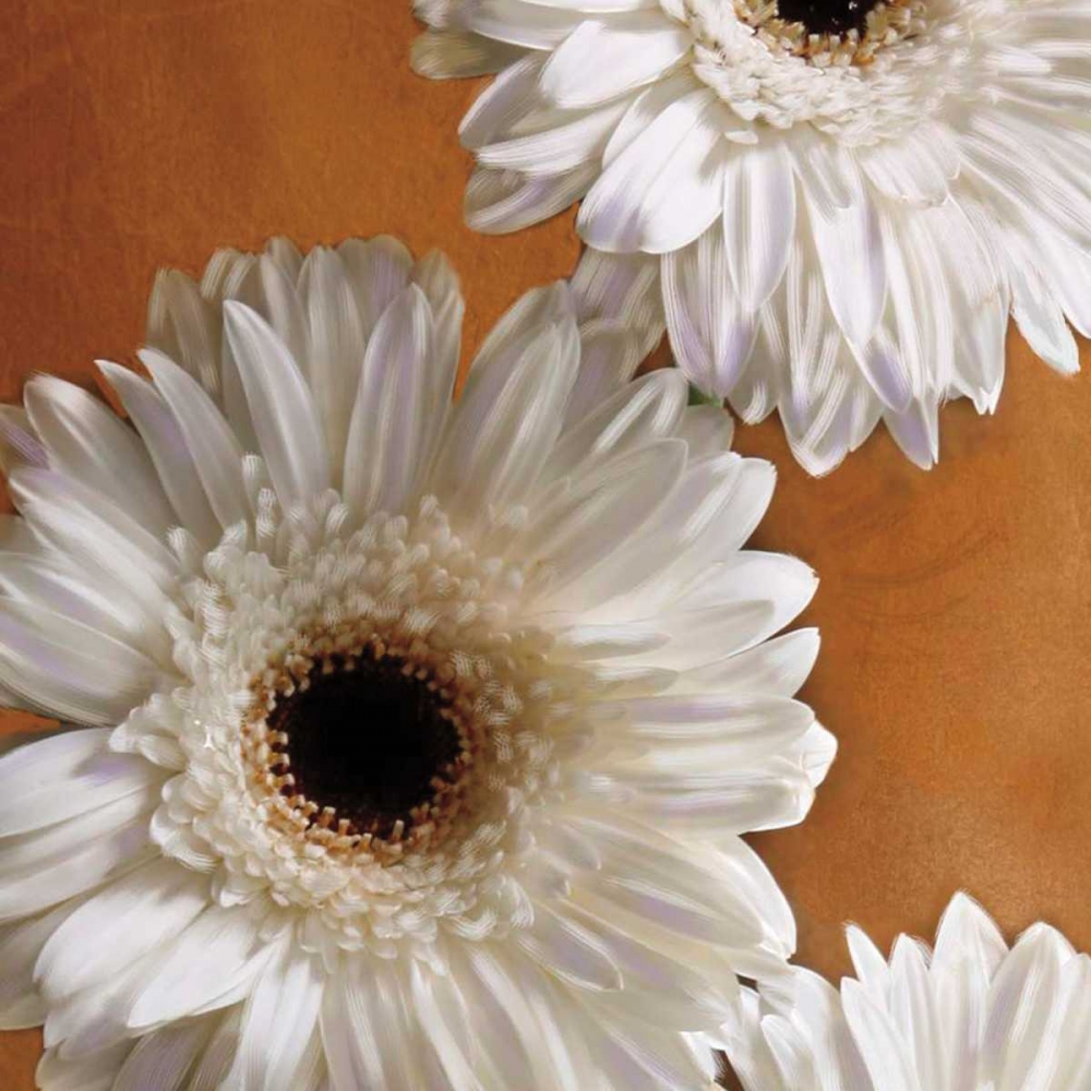 Similar wall art painting: 11904