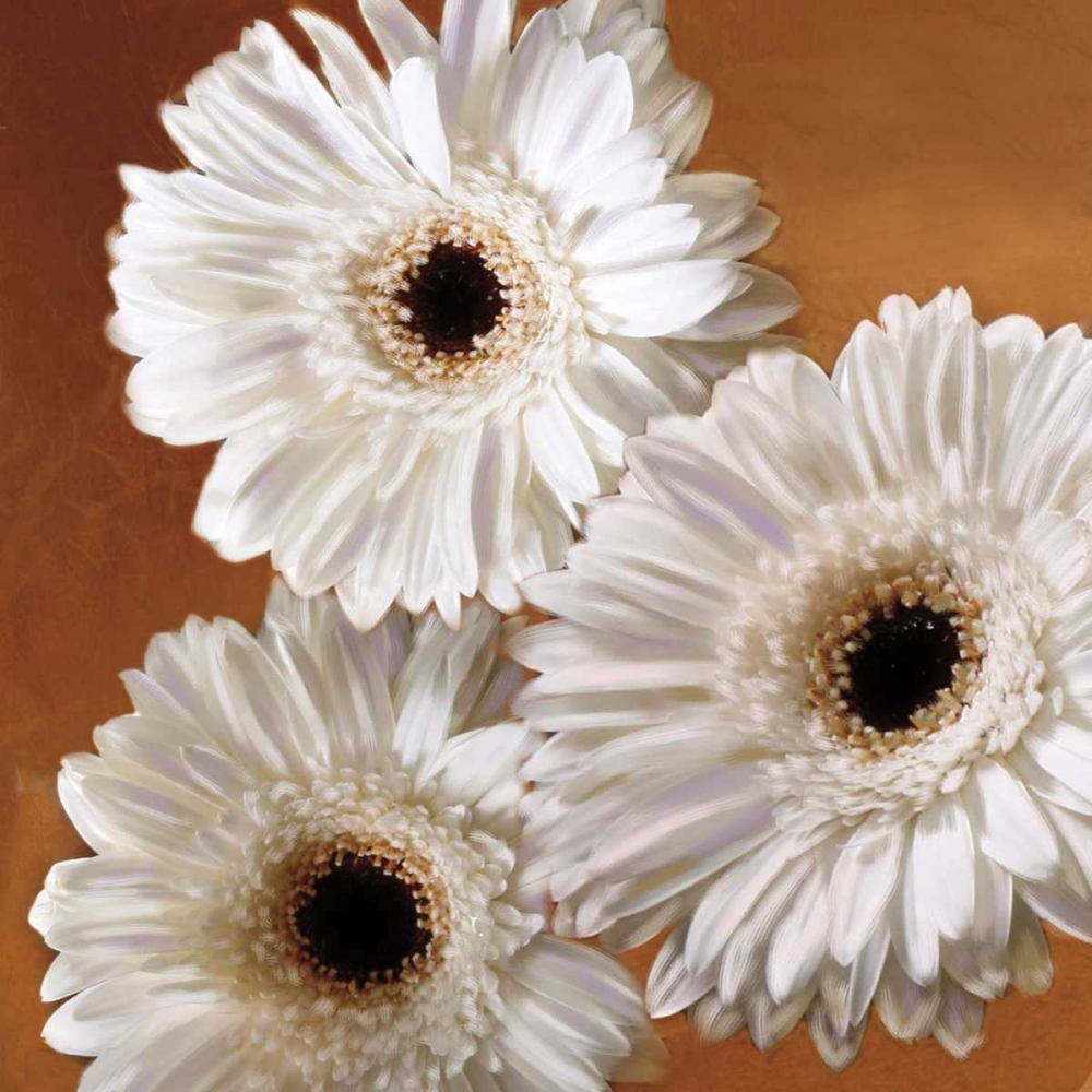 Similar wall art painting: 11905