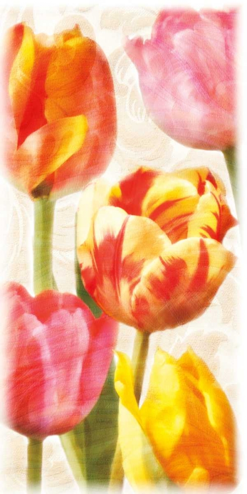 Wall Art Painting id:36865, Name: Glowing Tulips II, Artist: Pahl, Janel