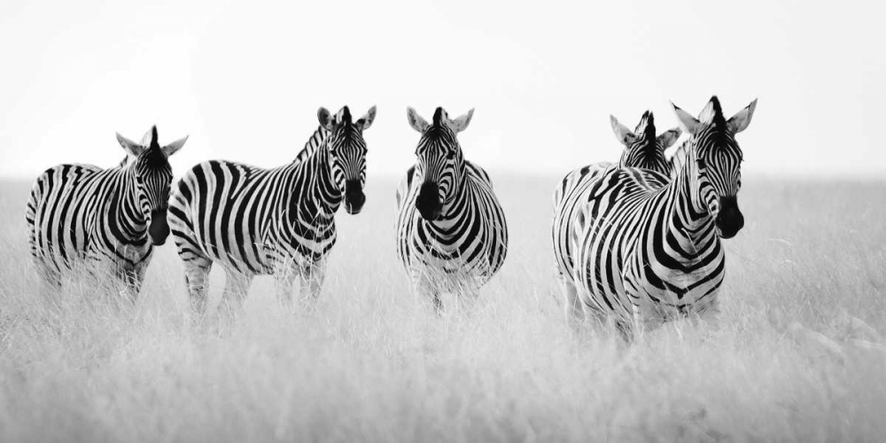 Similar wall art painting: 36888