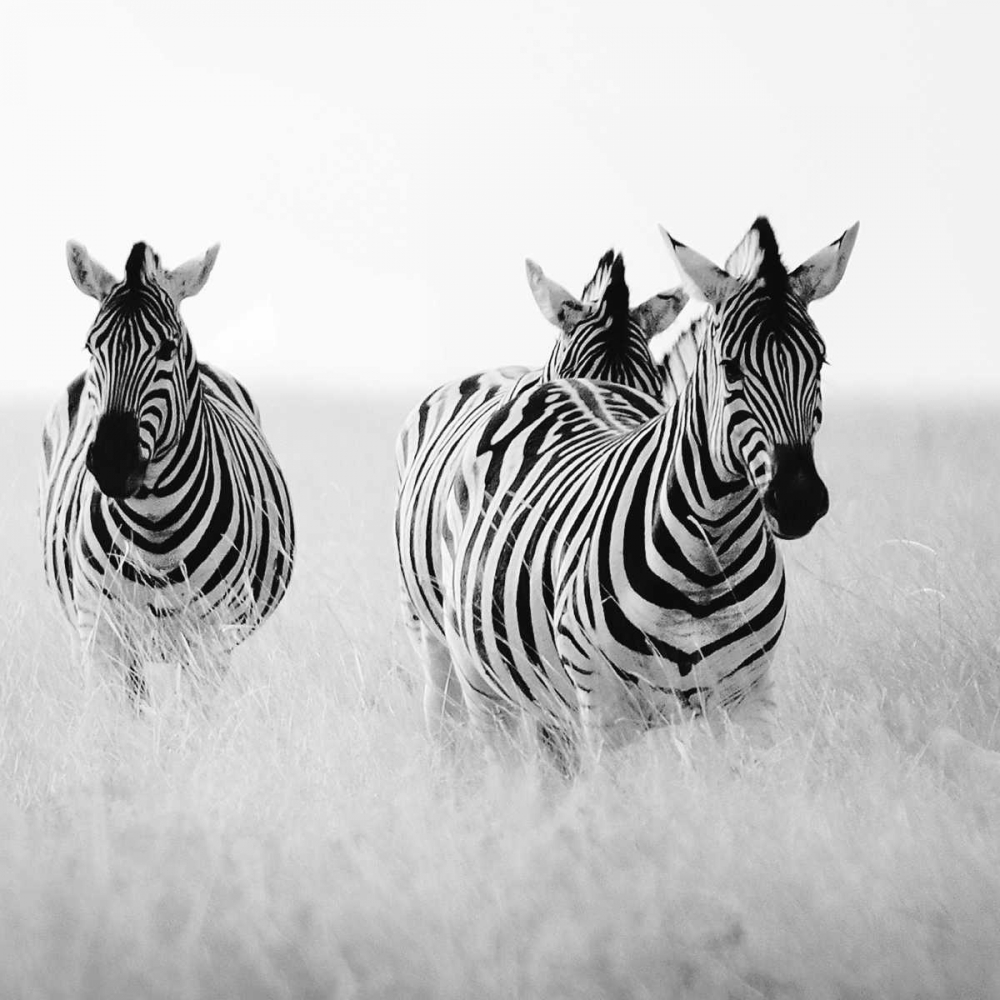 Similar wall art painting: 36889