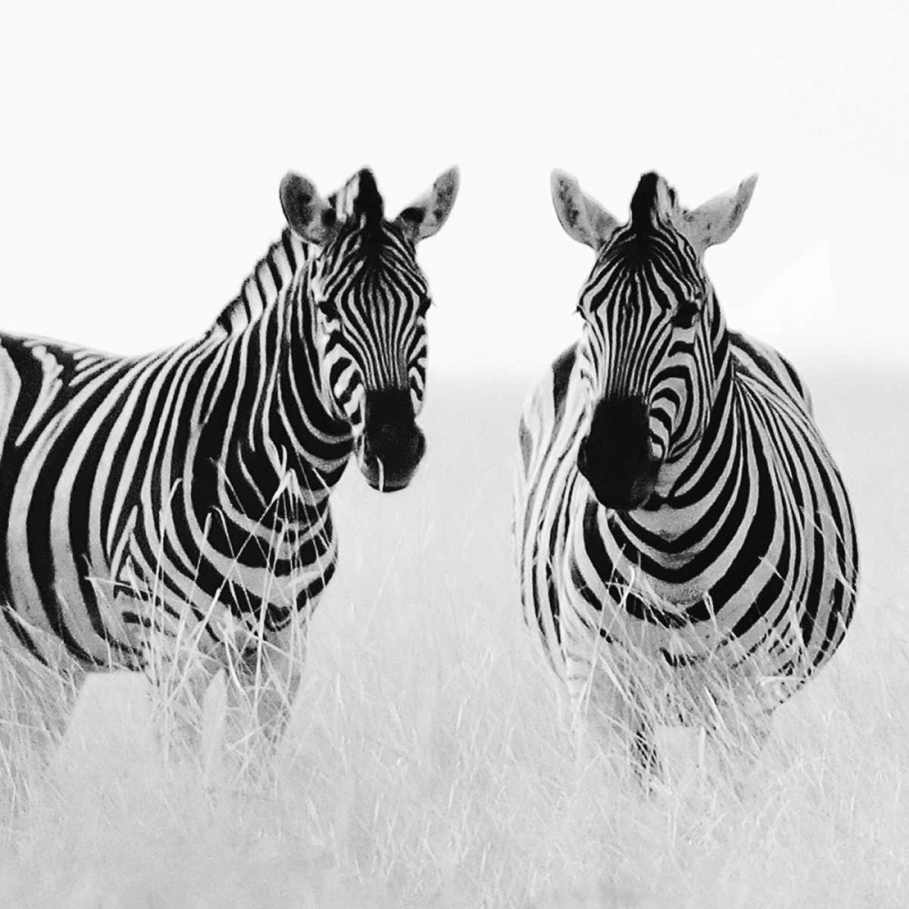 Similar wall art painting: 36890