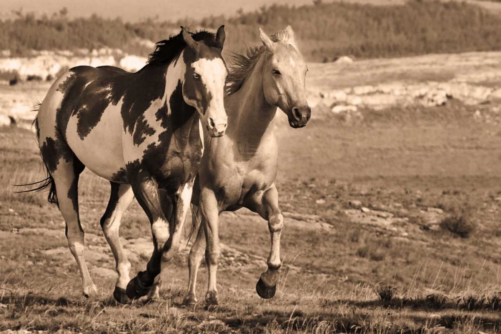 Similar wall art painting: 170990