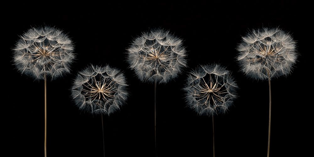 Similar wall art painting: 198844