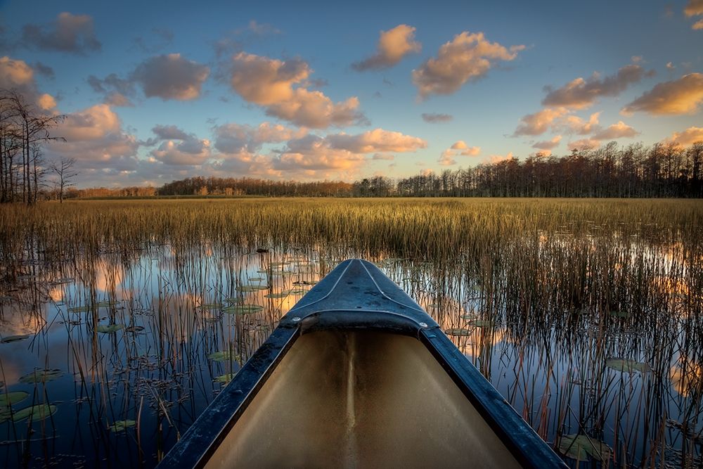 Wall Art Painting id:286193, Name: Canoeing on the River, Artist: Celebrate Life Gallery