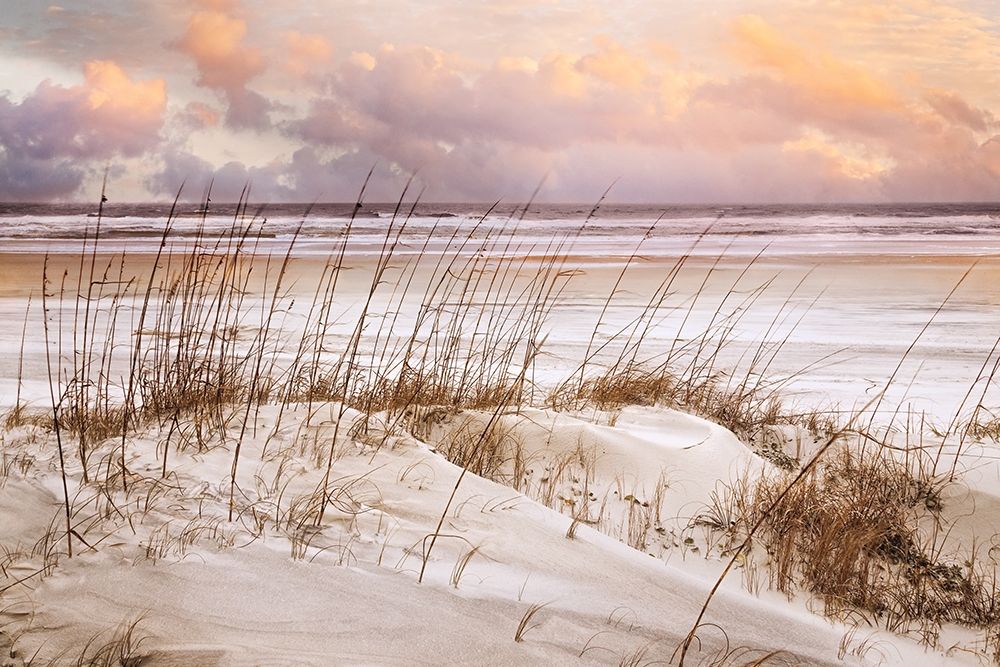 Wall Art Painting id:286195, Name: Whispers In the Dunes, Artist: Celebrate Life Gallery