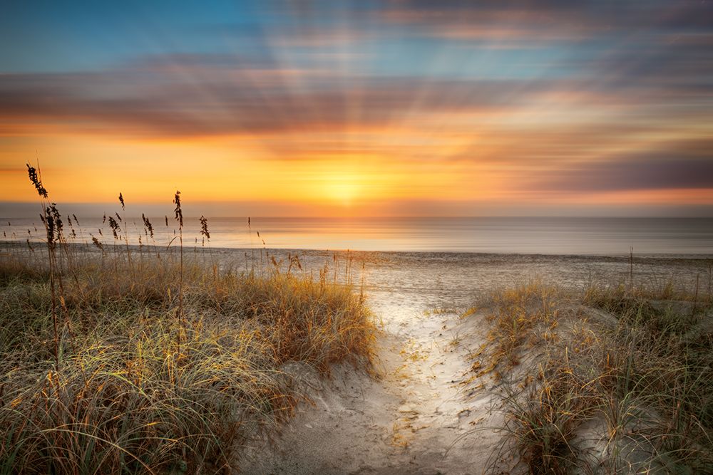 Wall Art Painting id:451847, Name: Sandy Walk At The Dunes, Artist: Celebrate Life Gallery