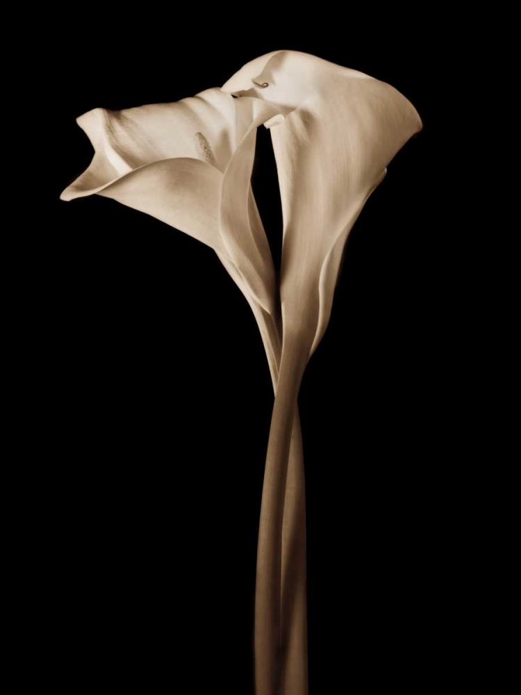 Similar wall art painting: 36928