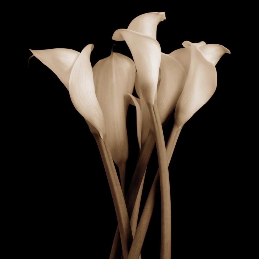 Similar wall art painting: 36931