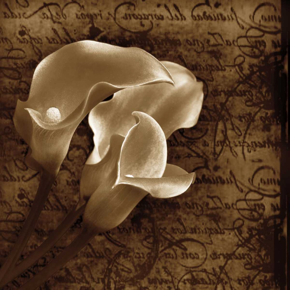 Similar wall art painting: 11913