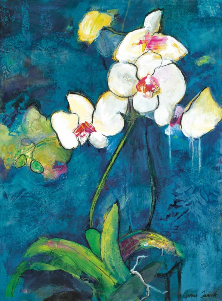 Wall Art Painting id:36968, Name: Phalaenopsis II, Artist: Tunick, Connie