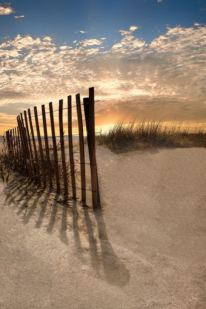 Wall Art Painting id:198872, Name: Dune Fence at Sunrise, Artist: Celebrate Life Gallery
