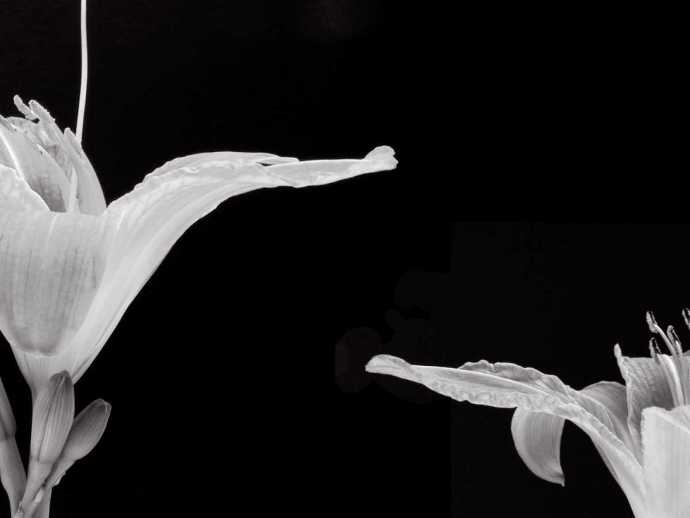 Similar wall art painting: 64843