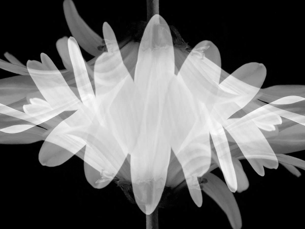 Similar wall art painting: 64844