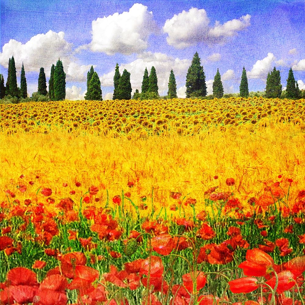 Similar wall art painting: 270707